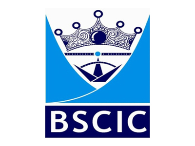 About DMIMS (Deemed to be University) BSCIC 